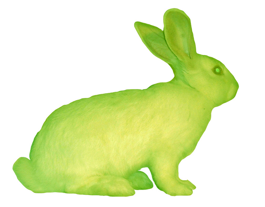 2爱德华多·卡茨：绿色荧光蛋白兔